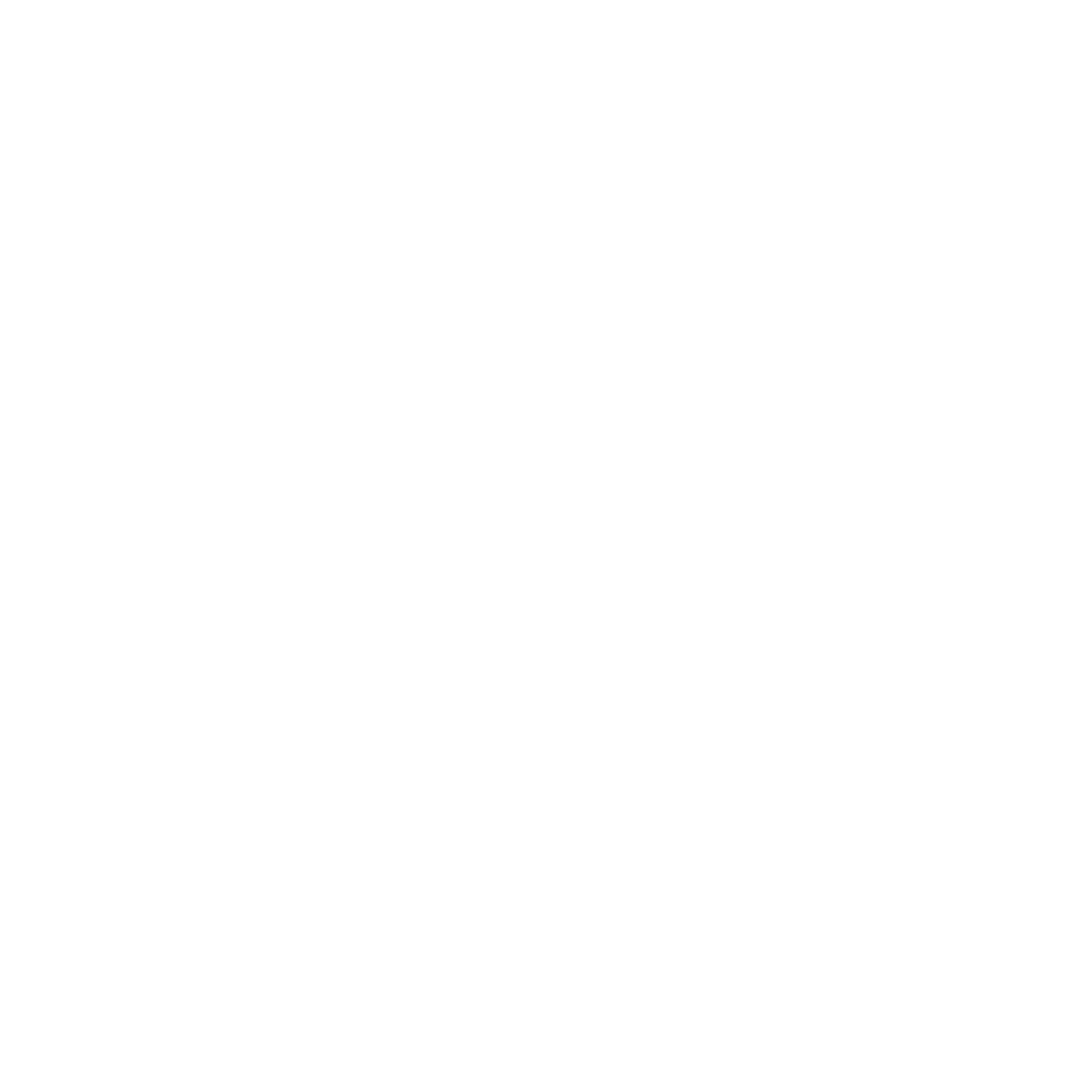 NLCo White Logo